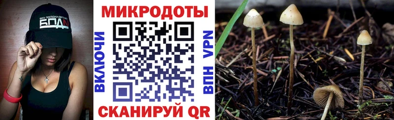 Псилоцибиновые грибы мицелий  Муром 